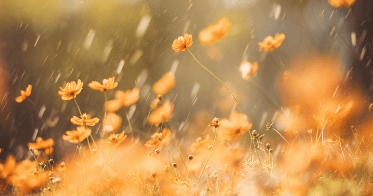 The AI Revolution: Reshaping the Fabric of Work