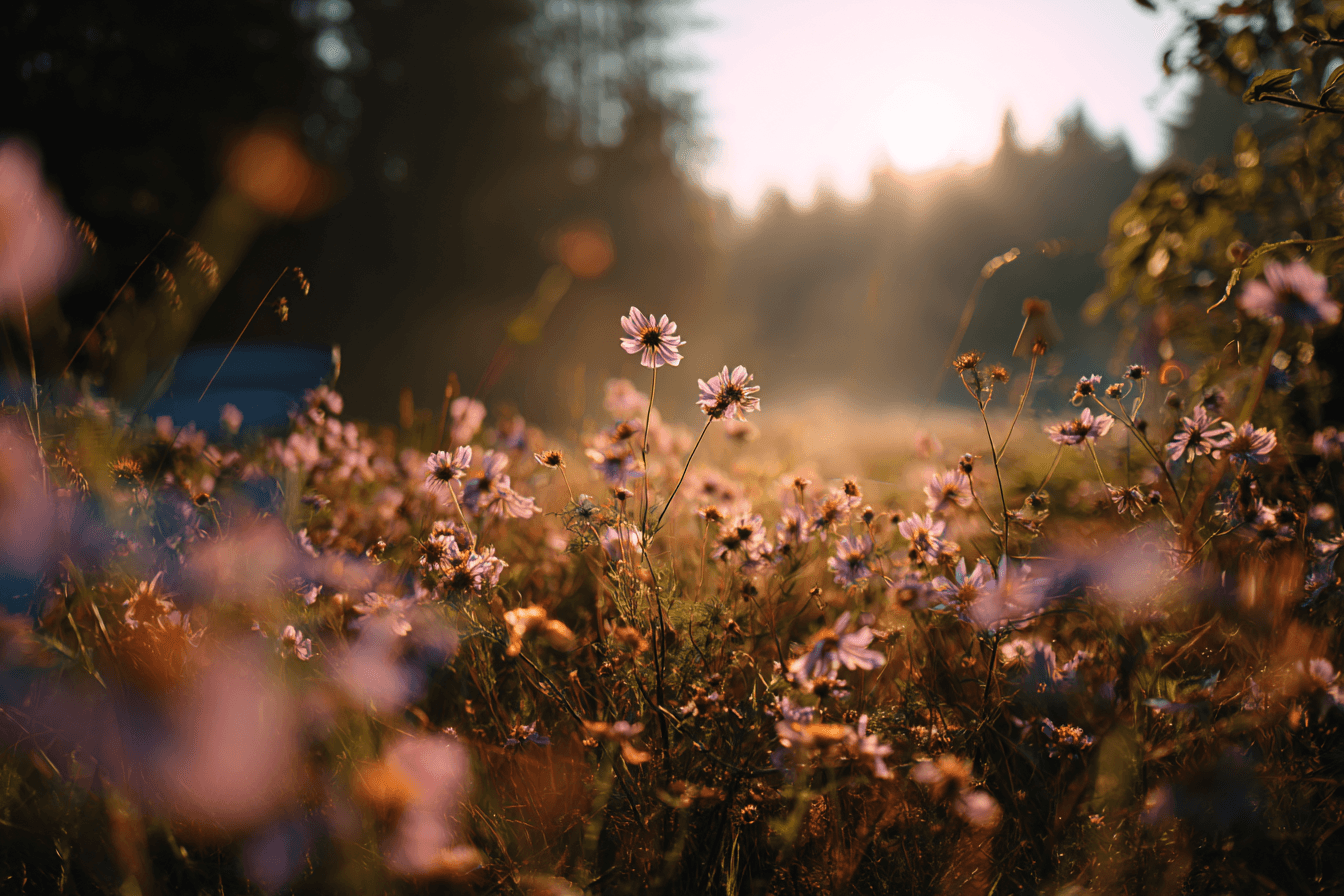 Charting Your Course – Thriving in the AI-Driven Future of Work